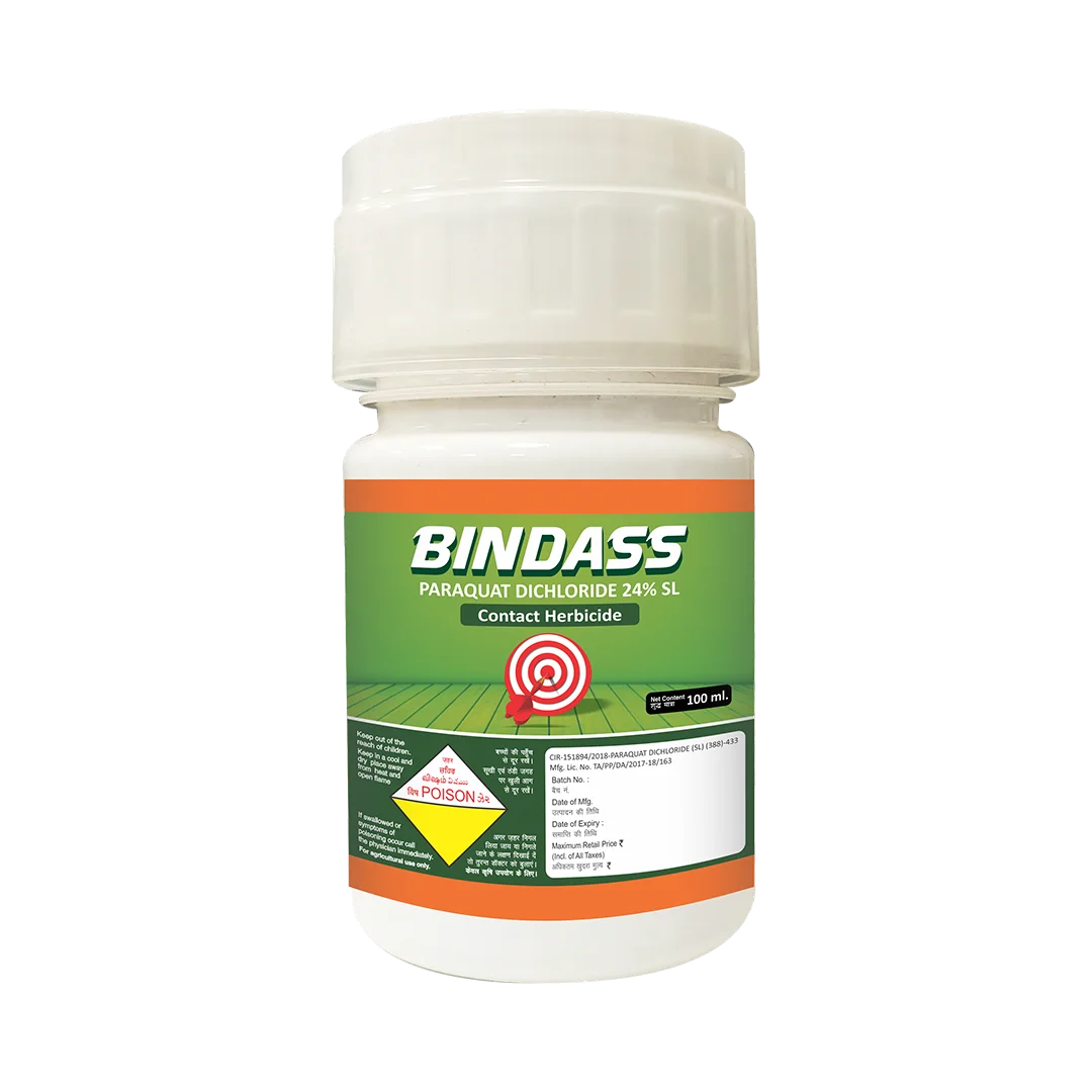 BINDASS 100ML